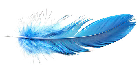 PNG Blue feather white background lightweight