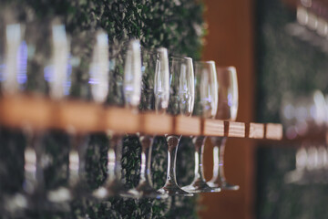 Unusual creative catering for holiday celebrations. Many glasses with champagne isolated on green foliage background. 