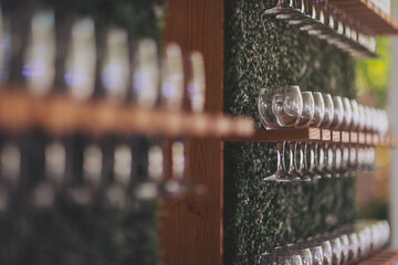 Decor. Bar. Champagne and wine glasses stand on a stand of natural greenery. Unusual creative...