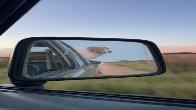 Perro en la corroceria de una camioneta mientras se maneja en una carretera al atardecer paraguayo e pilar filmado desde el celular