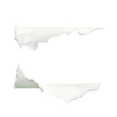 Naklejka premium Transparent Background Isolated Ivory Torn Paper