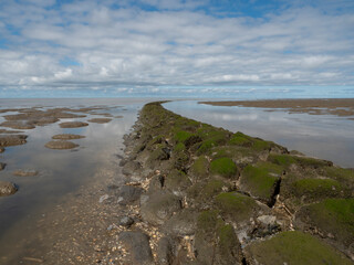 Aerial View: Wadden Sea and Floodplains in Friesland, Netherlands