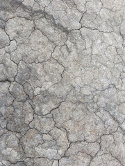 Cracked Clay Ground: Symbol of Drought and Climate Change