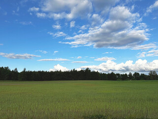 Open Field with Blue Sky and Clouds