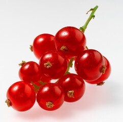 Johannisbeeren, Obst, isoliert, Beeren, Vitamine, 