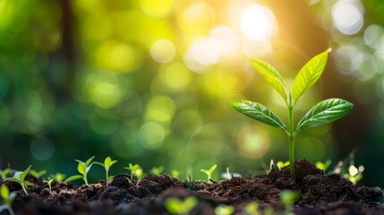 Eco-Friendly Corporate Sustainability with Sprouting Plant in Soil - Depicting a green and sustainable business model,renewable energy sources,environmental stewardship,and climate action.