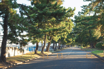 浜寺公園の風景