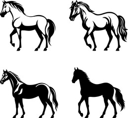 Horse illustration