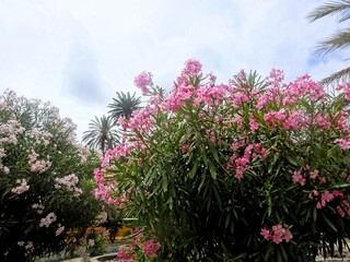 Impressionen aus Palermo 2024