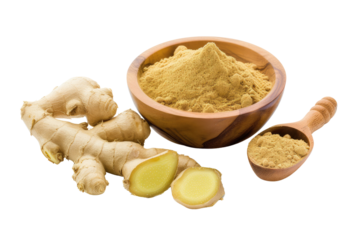 Fresh and dried ginger. Whole and grated ginger root with a wooden bowl of ginger powder isolated on transparent background