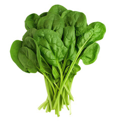 Fresh spinach leaves isolated on transparent background