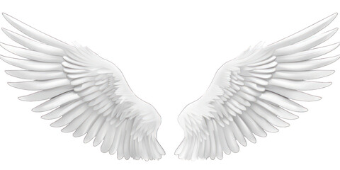 Naklejka premium PNG White angel wing bird pair white background archangel