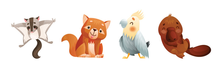 Cute Australian Animals and Endemic Fauna Vector Set