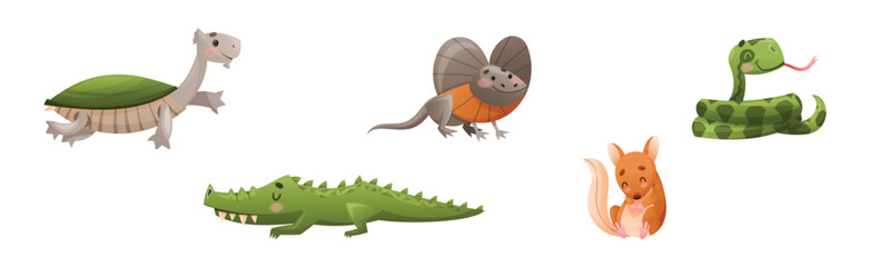 Cute Australian Animals and Endemic Fauna Vector Set