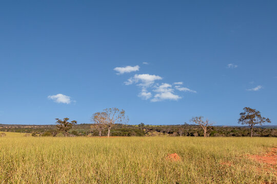 รูปภาพBiome – เลือกดูภาพถ่ายสต็อก เวกเตอร์ และวิดีโอ131,993 | Adobe Stock