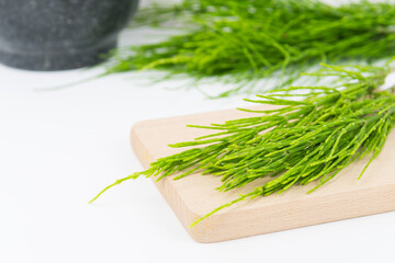 Field horsetail or common horsetail, equisetum arvense