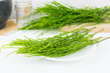Field horsetail or common horsetail, equisetum arvense