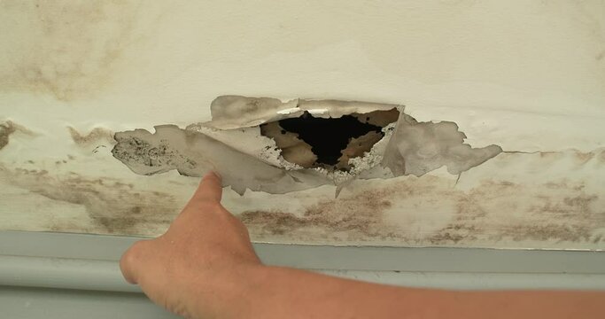 Ceiling panels with fungus outside house from water pipes damaged or rainy leaked. Office building or house problem for house service.