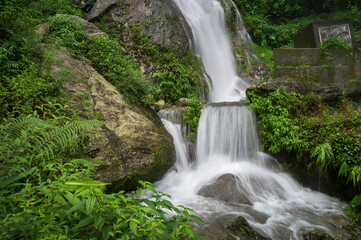 Beautiful Paglajhora waterfall on Kurseong, Himalayan mountains of Darjeeling, West Bengal, India. Origin of Mahananda River flowing through Mahananda Wildlife Sanctuary, Siliguri and Jalpaiguri.