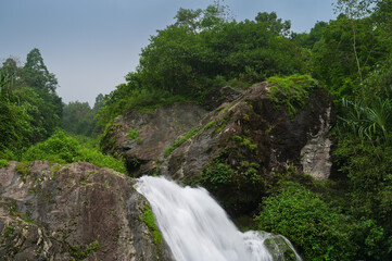 Paglajhora waterfall , famous waterfall in monsoon, at Kurseong, Himalayan mountains of Darjeeling, West Bengal, India. Origin of Mahananda River flowing through Mahananda Wildlife Sanctuary.