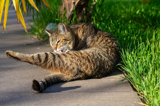 Faire sa toilette sur la terrasse