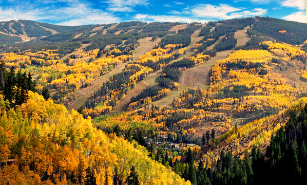 Autumn aspens in Colorado's Vail Valley