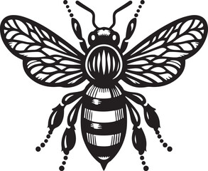 black and white bee