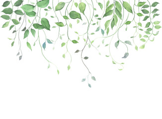 Green decorative border with abstract hanging branches and delicate leaves. Watercolor isolated floral illustration for invitation or greeting cards, wallpapers or banner.