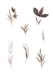 Silhouettes of plants, grass blades and flowers. Wild flowers. Brown tone. Watercolor texture. Ideal for decorating fabrics, wallpaper, dishes and other products. White background