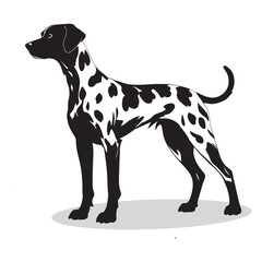 Dalmatian silhouettes and icons. Black flat color simple elegant white background Brussels sprouts vegetable vector and illustration.