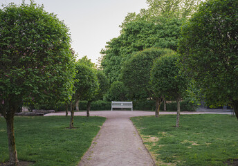 alley with trees and a white bench in a park in Helsinki