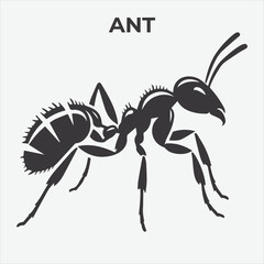 A Distinct Ant Silhouette for Multi-Format Designs. Vector Illustration