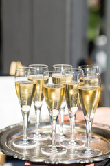 tray of glasses of champagne in the sunlight at a summer wedding