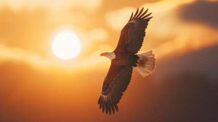 A bald eagle flies against the backdrop of a beautiful sunset and mountains.