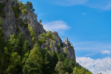 Hammocks stretched high on the top of the mountain in the Parang Mountains in Baia de Fier