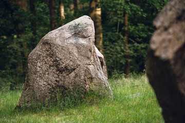 Megalithgrab Visbeker Braut, Niedersachsen, Juni 2024