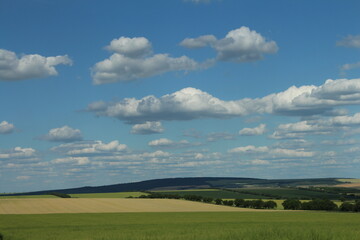 A green field with a blue sky and clouds