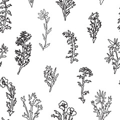 Abstract wild plants and flowers seamless pattern. Botanical ornament of continuous line drawing. Vector floral design.
