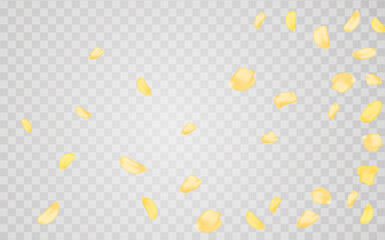 Yellow falling rose or sunflowers petals.Transparent panoramic horizontal background.Amber flower spring template.