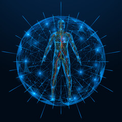 Protective shell of the human nervous system. Polygonal design of interconnected elements. Blue background.