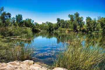 The Miaree Pool in the Maitland River near Karratha, one of the few permanent freshwater pools in the dry, Pilbara region, Western Australia
