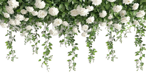 PNG White flowers outdoor pattern nature