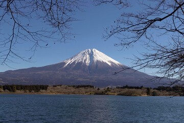 mountain and cherry blossoms