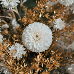 Imagine a scene where nature meets artistry. Picture a white flower as the focal point, surrounded by smaller blooms and golden foliage.