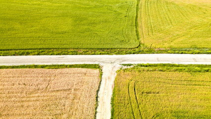 Countryside road in summer field