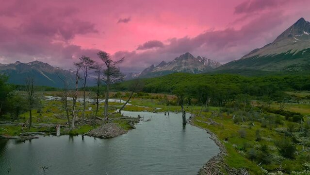 Pink sunset on swamp river with dead broken trees at mountains background on Tierra del Fuego in Patagonia, Ushuaia, Argentina. Aerial drone view.