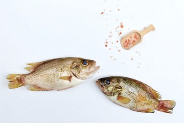 Fish on a white background, Freshwater perch, freshwater fish, free space, top view, background