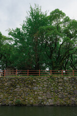 Fototapeta premium Tree-Lined Moat Surrounding Japanese Castle