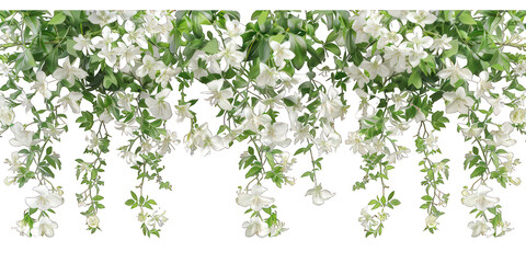 PNG White flowers outdoor pattern nature