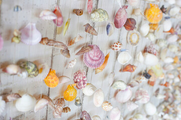 Wall decor made of different sea shells